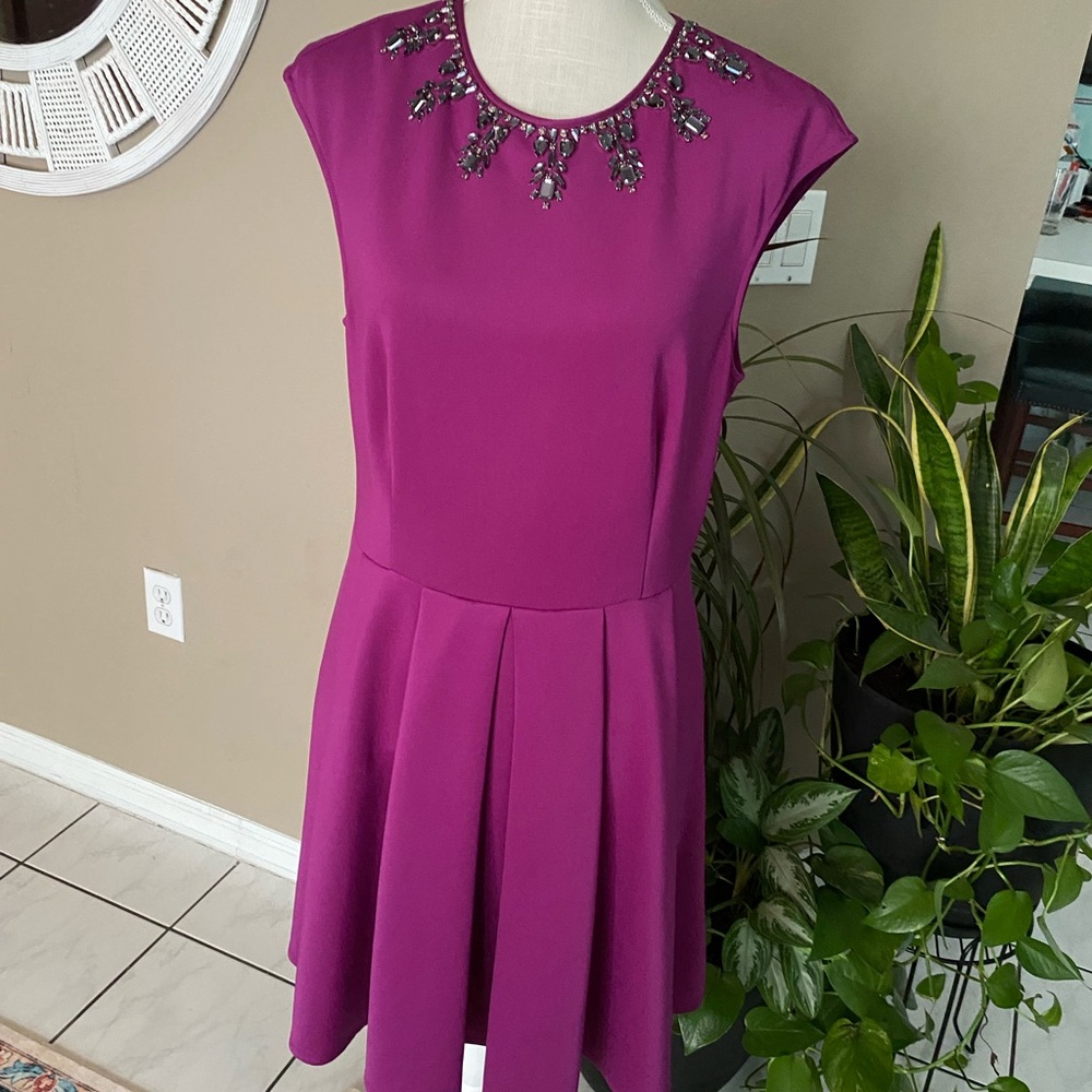 NWOT Ted Baker Jadore Dress 8/10 Sequins Beaded